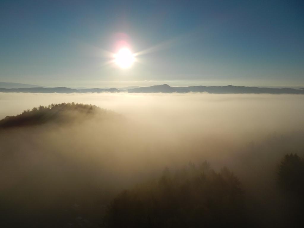Shin Furano Prince Hotel Zewnętrze zdjęcie Fog over the Black Forest
